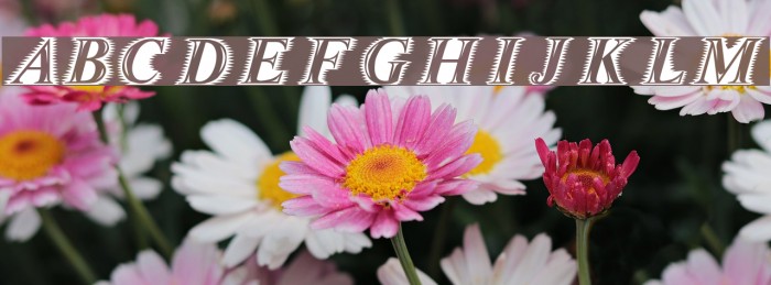 Zippo Font examples