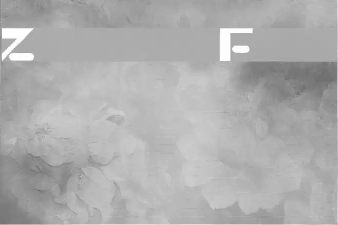 Zippy Polices examples