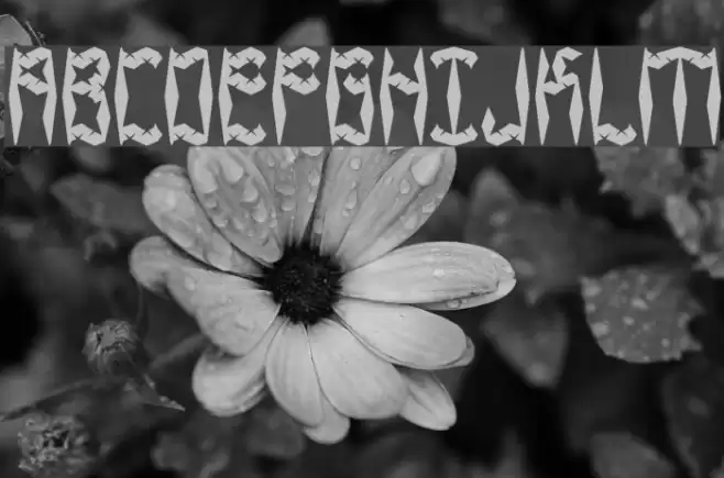 Zirconia BRK Font examples