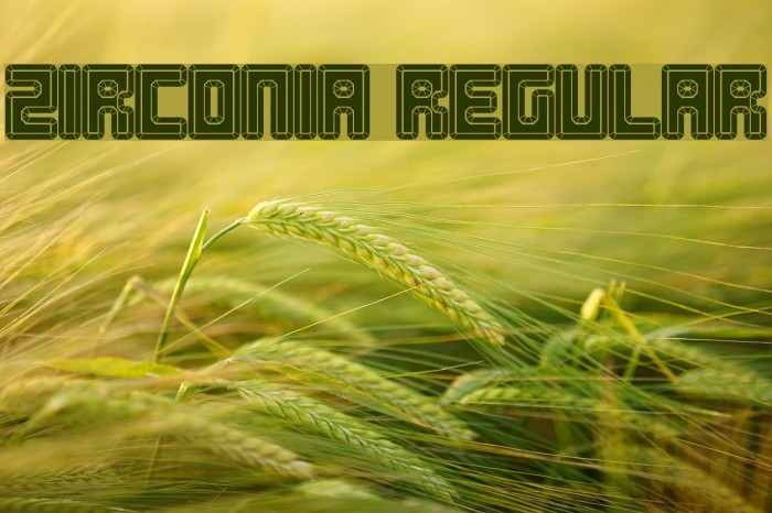 Zirconia Regular Example 1