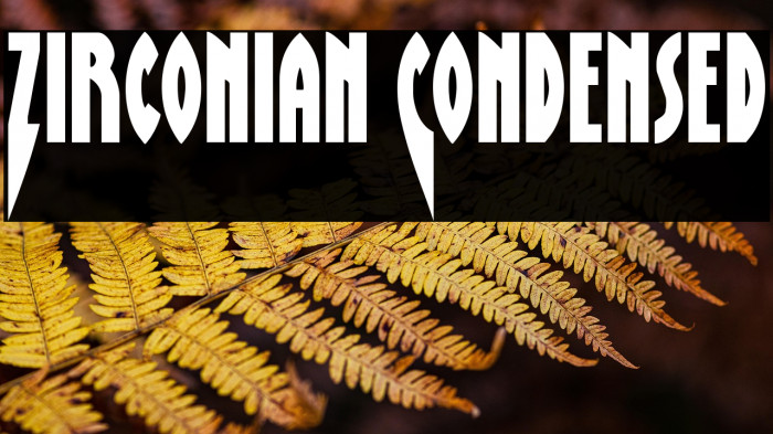 Zirconian Condensed Example 1