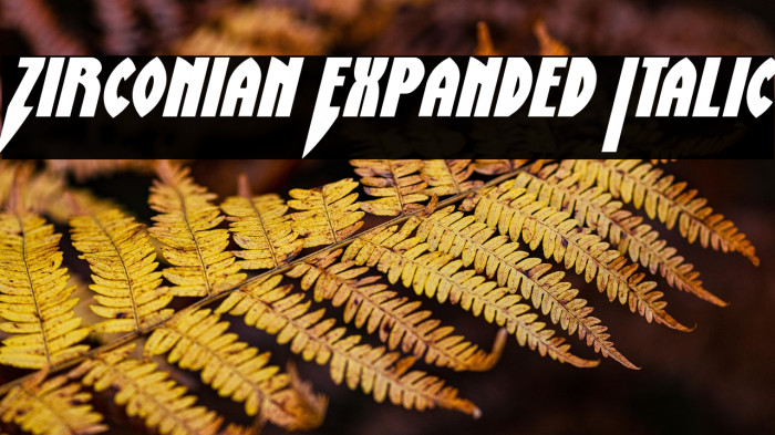 Zirconian Expanded Italic Example 1