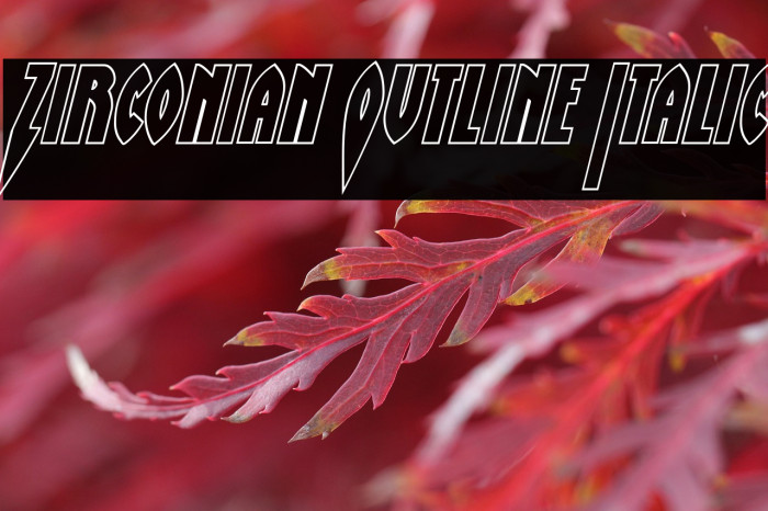 Zirconian Outline Italic Example 1