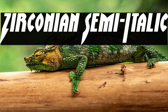 Zirconian Semi-Italic Example 3