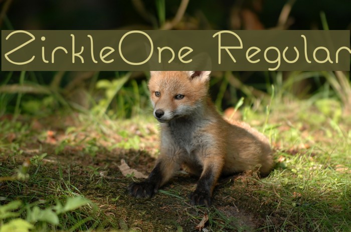 ZirkleOne Regular Font examples