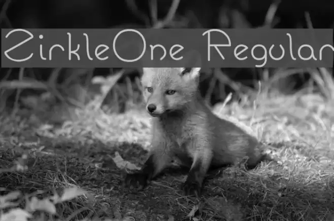 ZirkleOne Regular फ़ॉन्ट examples