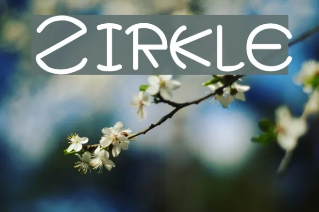 Zirkle Example 2