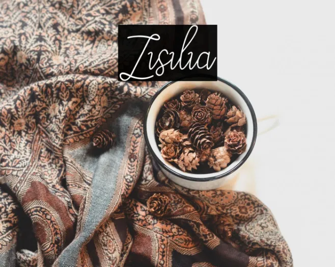 Zisilia Example 1