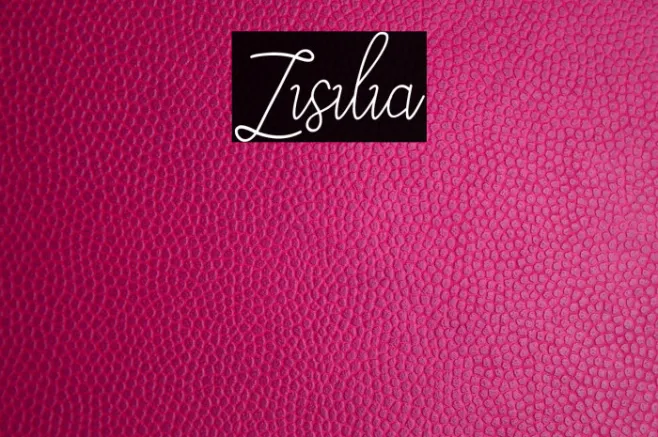 Zisilia Example 2