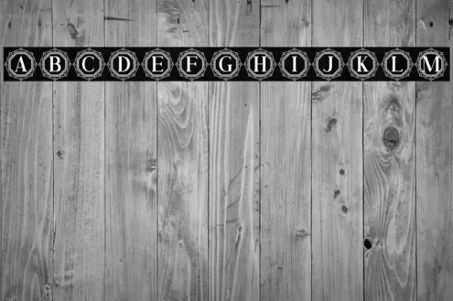 Ziviliam Monogram Font examples