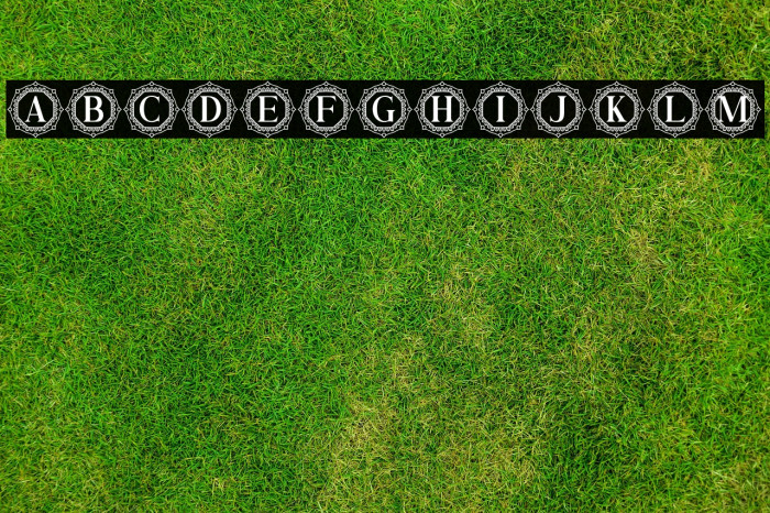 Ziviliam Monogram Example 3