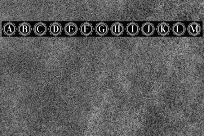 Ziviliam Monogram Font examples