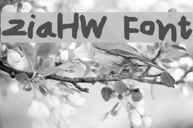 ziaHW Font examples