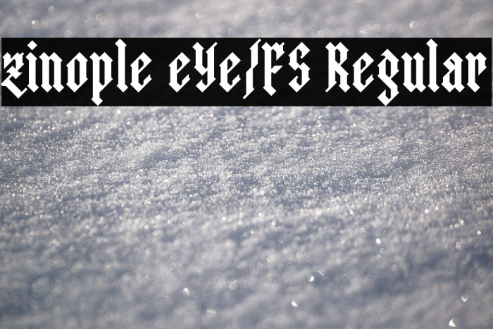 zinople eYe/FS Regular Example 2