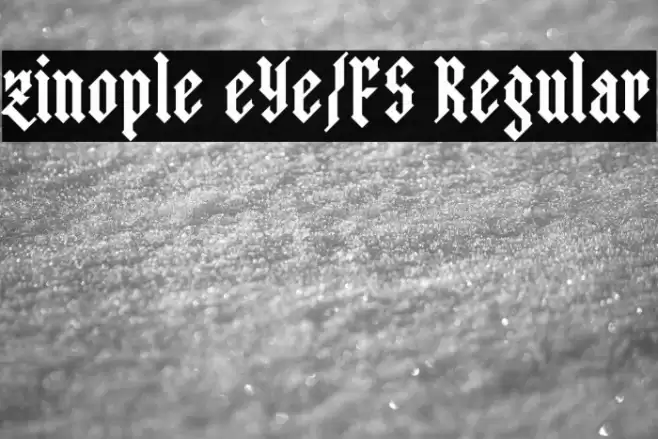 zinople eYe/FS Regular Font examples