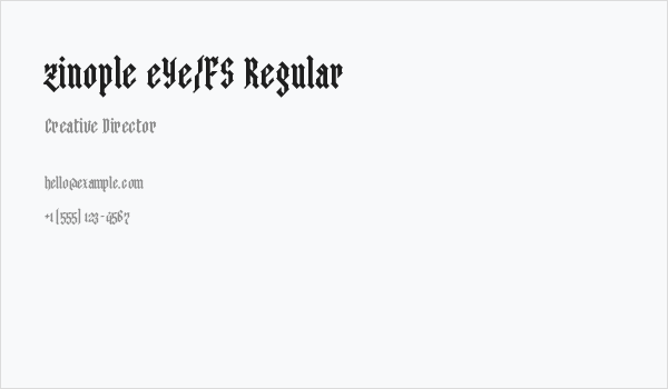 zinople eYe/FS Regular Business Card