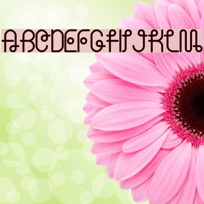 zion Font examples