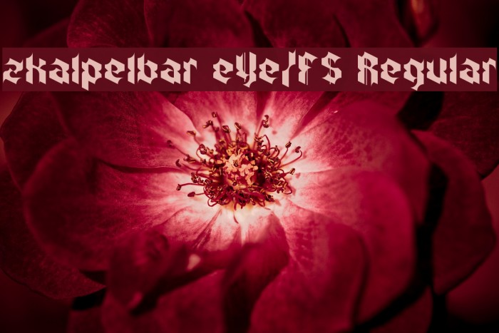 zkalpelbar eYe/FS Regular Example 2