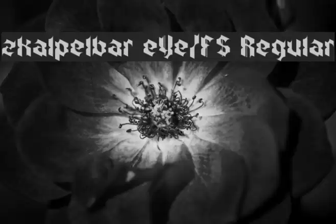zkalpelbar eYe/FS Regular Font examples