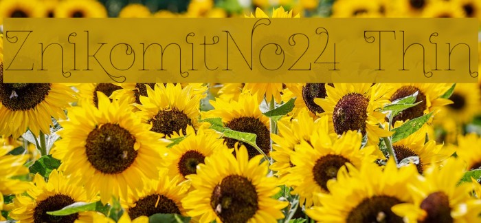 ZnikomitNo24 Thin Example 1