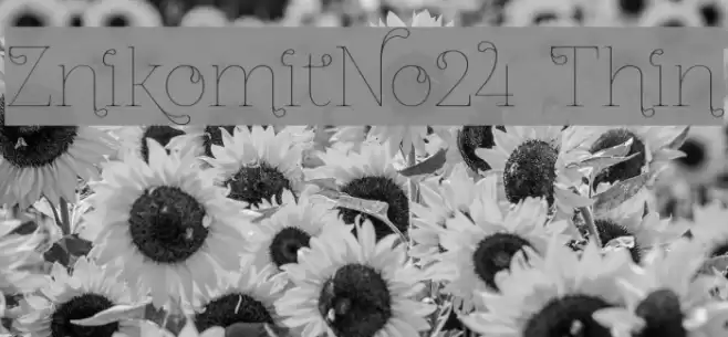 ZnikomitNo24 Thin Font examples