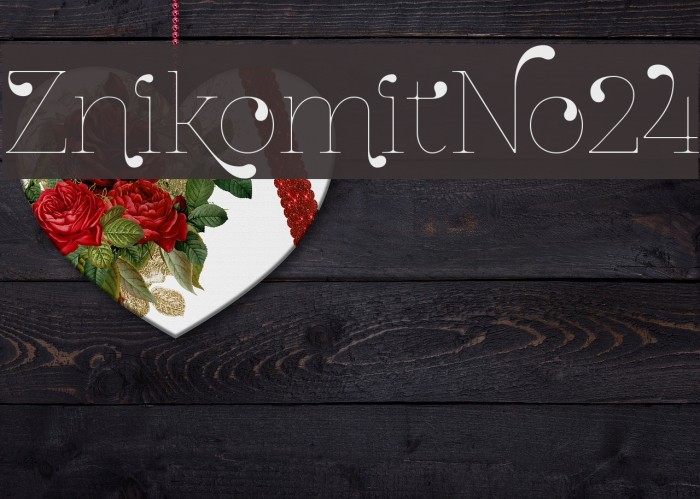 ZnikomitNo24 Example 3