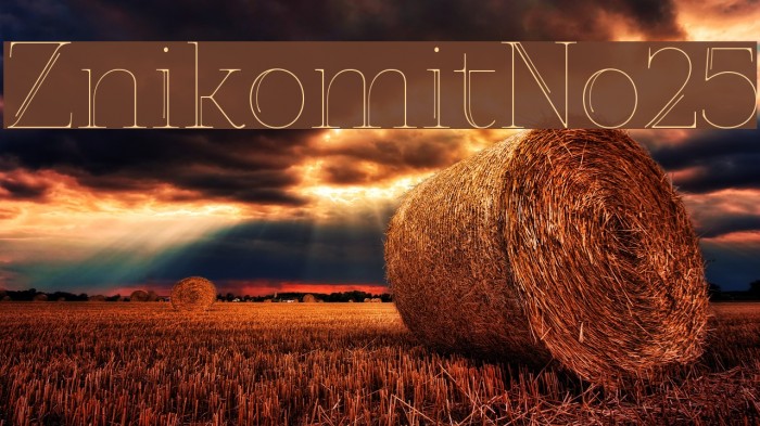 ZnikomitNo25 Font examples