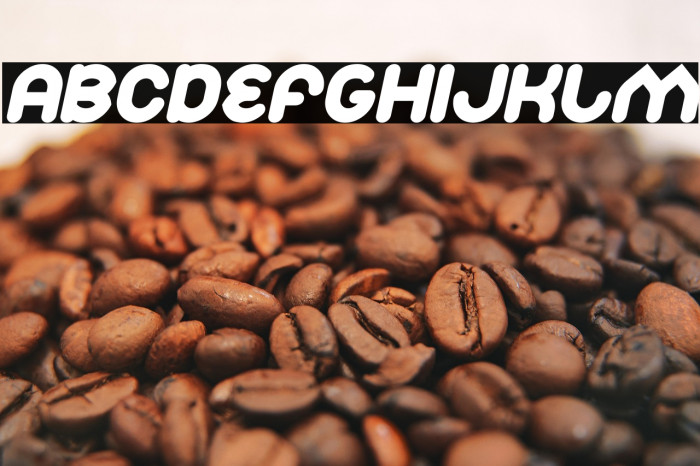 Znow White Bold Italic Example 2