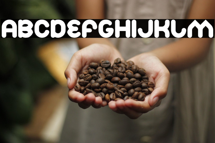 Znow White Bold Example 2