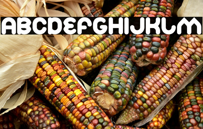 Znow White Bold Example 3