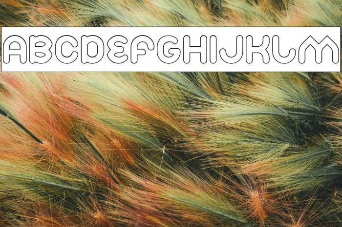 Znow White-Hollow-Inverse Example 2