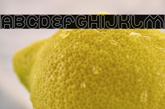 Znow White-Hollow Example 1