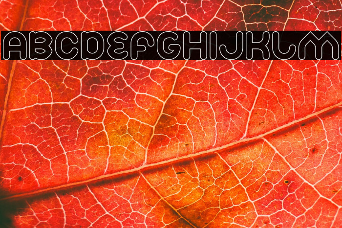 Znow White-Hollow Example 3