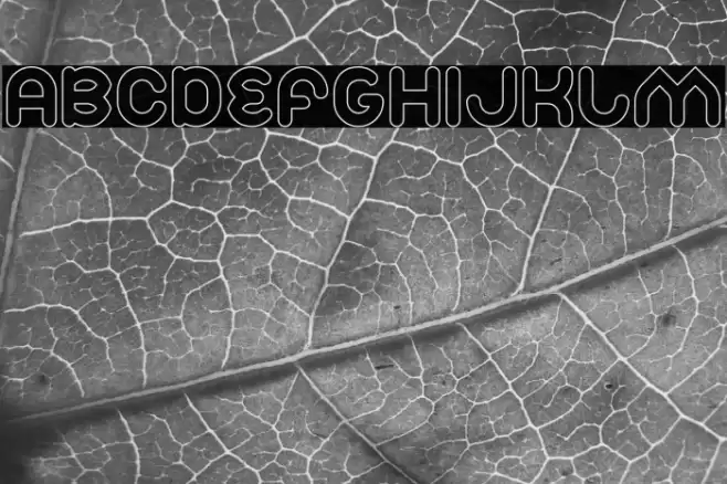 Znow White-Hollow Font examples