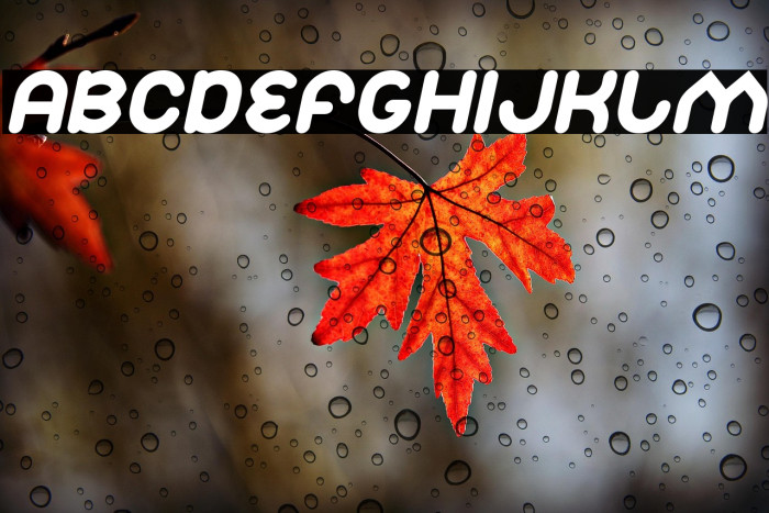 Znow White Italic Example 1