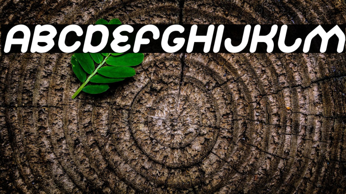 Znow White Italic Example 2