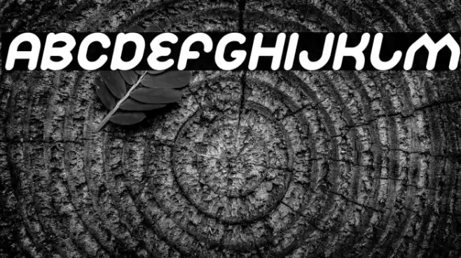 Znow White Italic Font examples