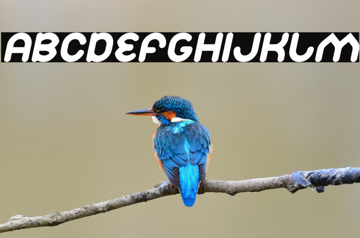 Znow White Italic Example 3