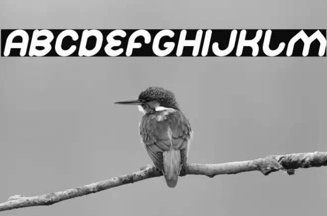 Znow White Italic Font examples