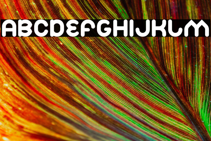 Znow White Example 1