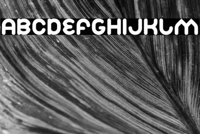 Znow White Font examples