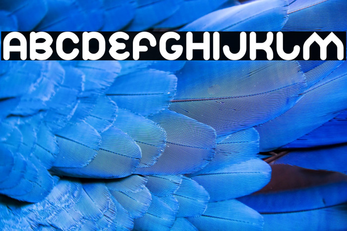 Znow White Example 2