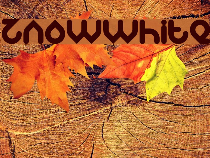 znowwhite Font examples
