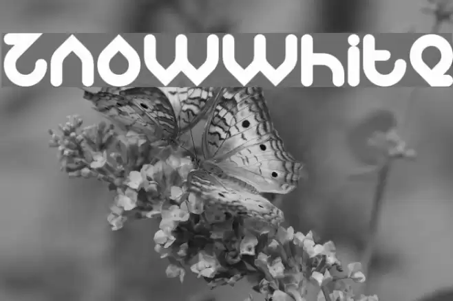 znowwhite Font examples