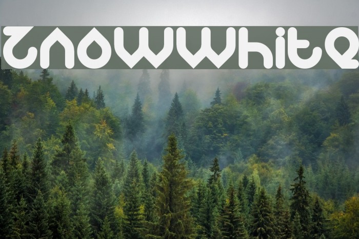 znowwhite Font examples