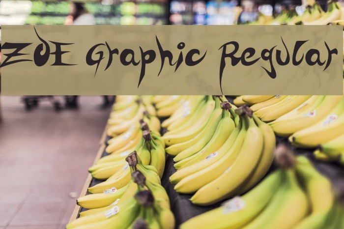 ZOE Graphic Regular Font examples