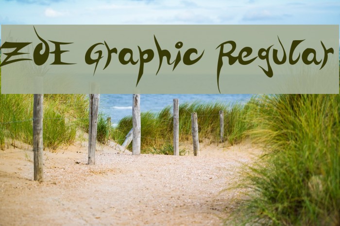 ZOE Graphic Regular Font examples