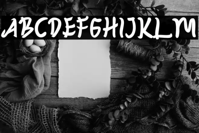 ZOJIHUN Font examples