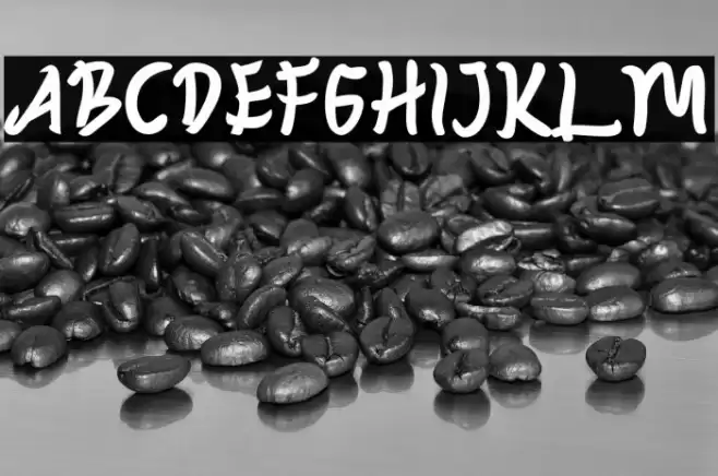 ZOJIHUN Font examples