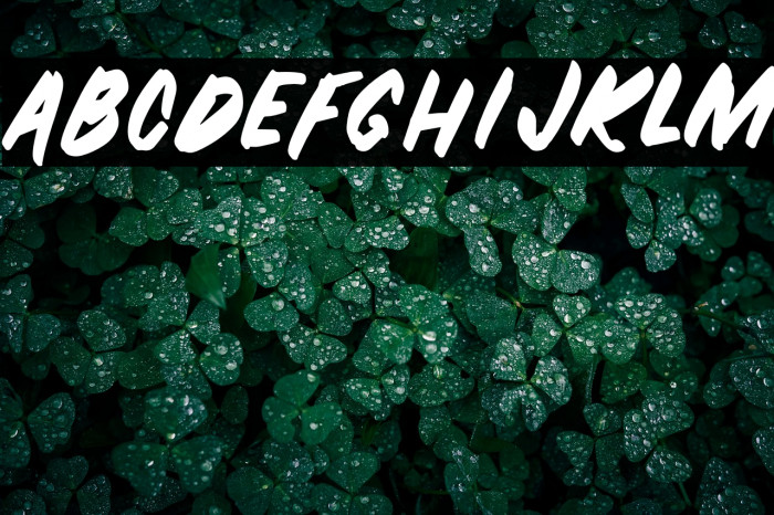 ZOMBIE-Regular Example 2